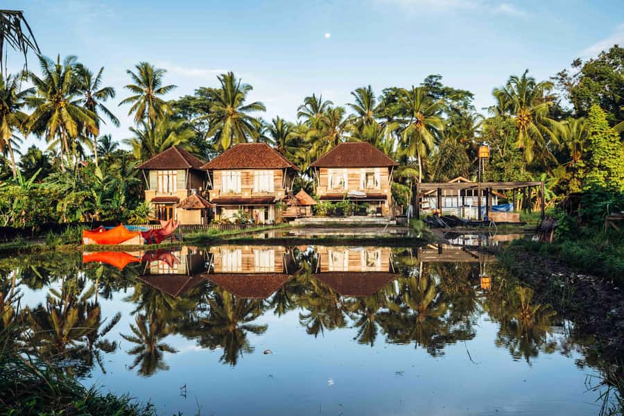 Bali: 7 Day Solo Traveler’s Yoga Retreat In Ubud - Saturday departure and what the setting feels like