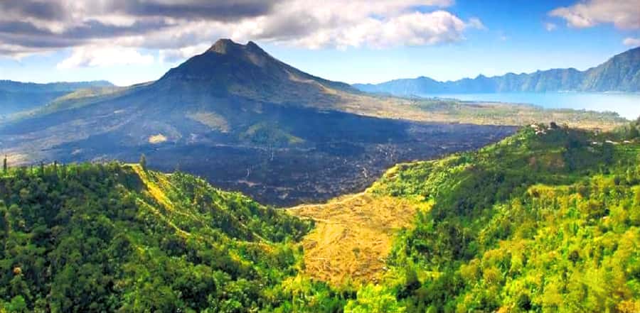 Bali: A Full-Day Tour to Goa Raja, Tibumana and Tukad Cepung - Coffee tasting connects the waterfalls to Kintamani