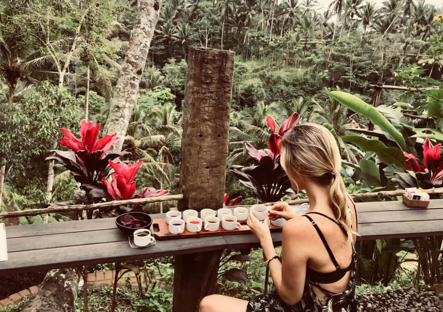 Bali: A Full-Day Tour to Goa Raja, Tibumana and Tukad Cepung - What the private format is worth at $49