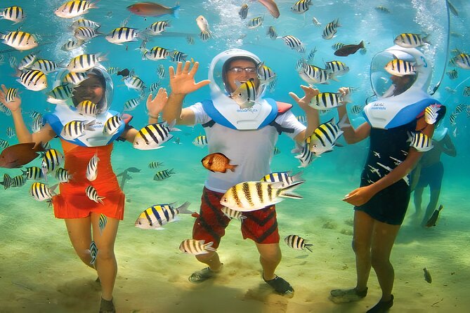 Bali Activity: Bali Sea Walking in Nusa Dua Ocean - Where the experience needs improvement
