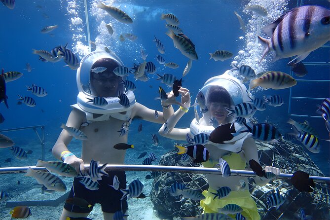 Bali Activity: Bali Sea Walking in Nusa Dua Ocean - From your hotel to Nusa Dua