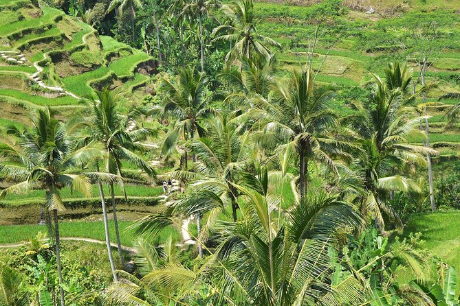 Bali Airport Arrival Transfer and Private Car Charter Combo - The 5-hour or 10-hour choice