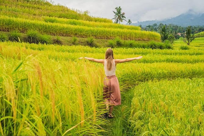 Bali Airport from or to Seminyak/Canggu/Sanur/NusaDua/Uluwatu - Price and value at $25