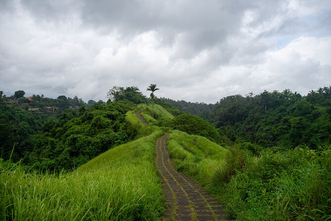 Bali Airport Pickup Transfer to Ubud Area (Private) - A private car instead of a shared shuttle