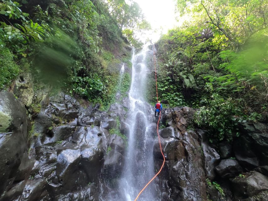 Bali: Alam Canyon The Natural Canyoning Adventure - The narrow gorge changes the mood