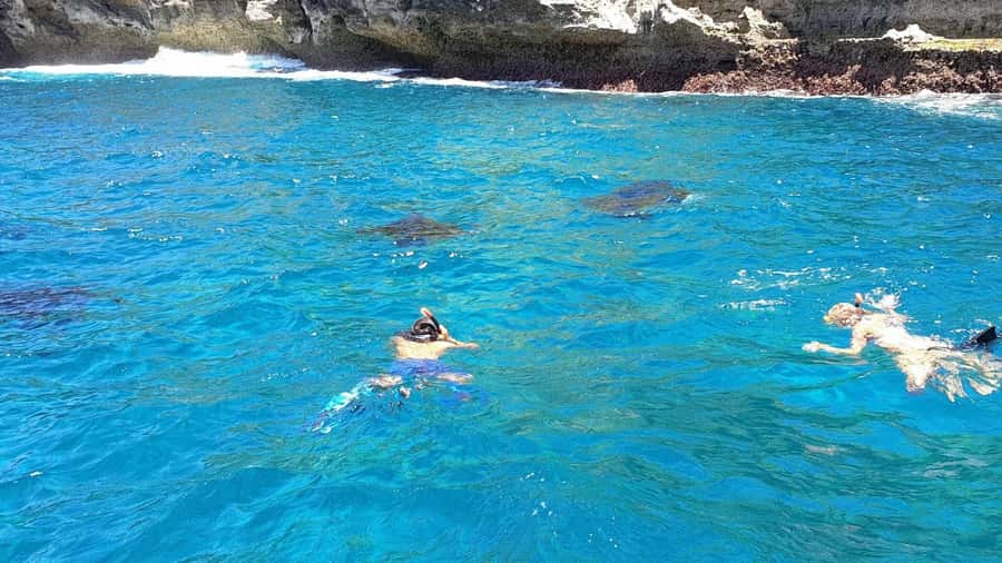 Bali: All-Inclusive Combo Adventure Ticket with Transfer - Why the private driver matters