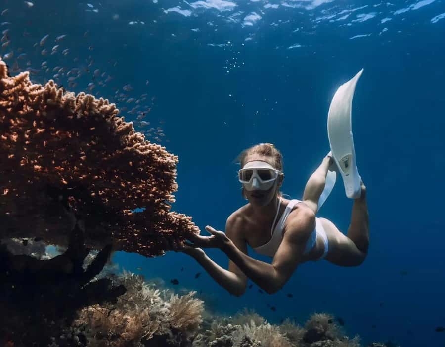Bali/Amed: Underwater Temple Snorkeling Experience - Why Amed’s four-stop snorkeling route works