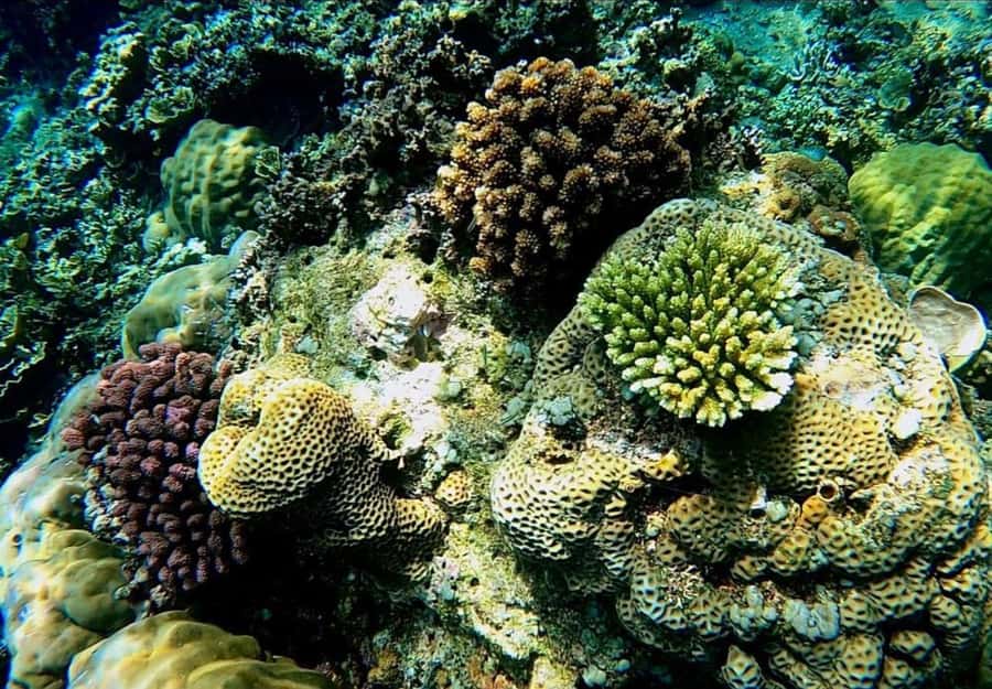 Bali/Amed: Underwater Temple Snorkeling Experience - What the boat ride is really like
