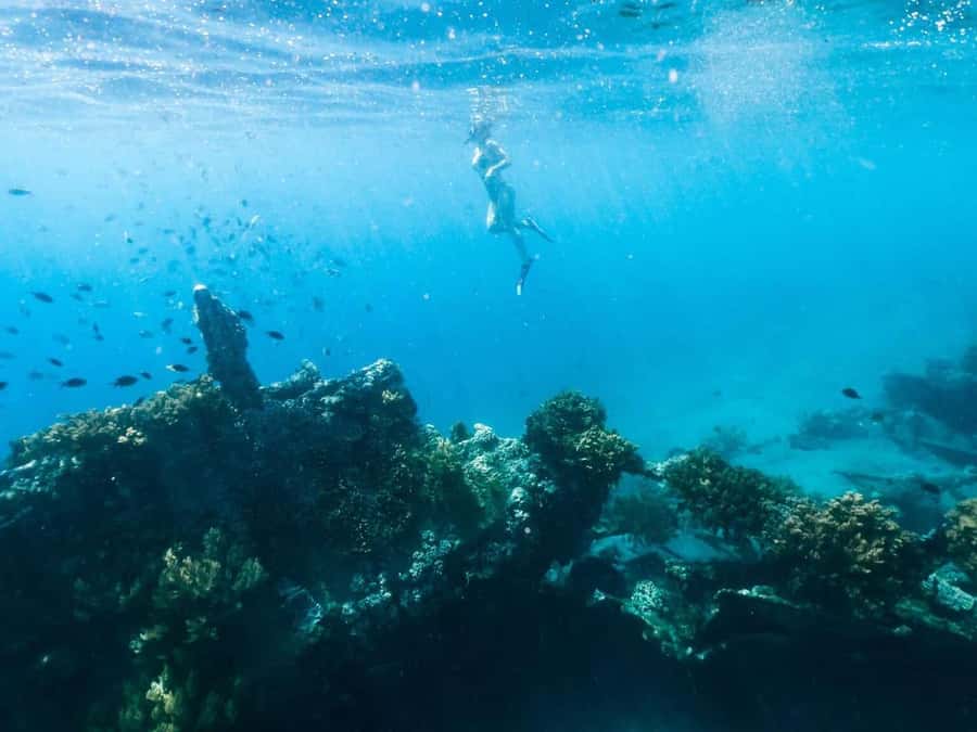 Bali/Amed: Underwater Temple Snorkeling Experience - Adding Tirta Gangga and Virgin Beach