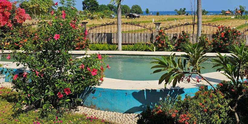 Bali: Aqua Healing Lovina Unique Body Experience - Is $89 a fair price for one hour?