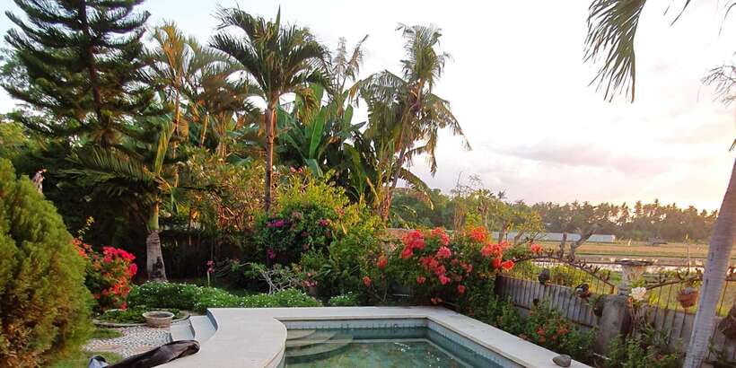 Bali: Aqua Healing Lovina Unique Body Experience - What Aqua Healing Lovina actually is