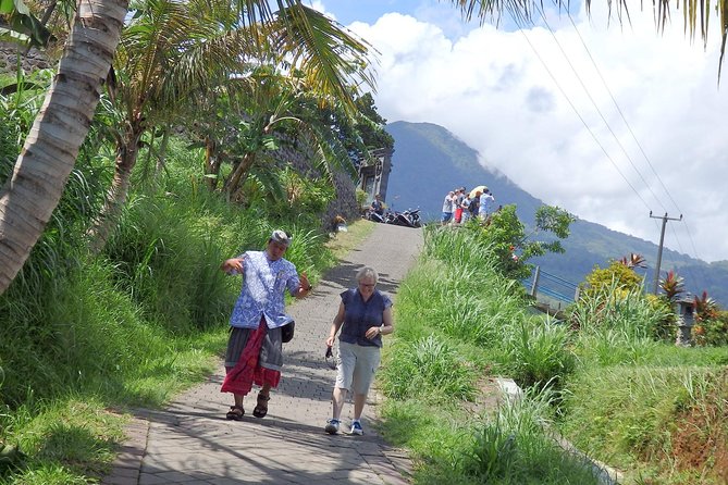 Bali as You Wish Tour guided by AGUS - What $80 per person really buys
