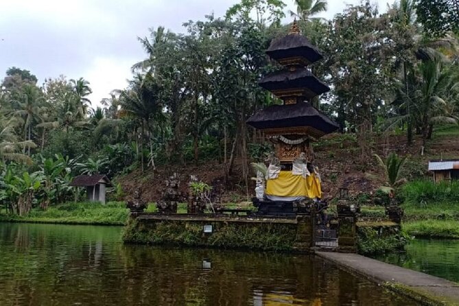 Bali ATV Combined with Mumbul Lake And Sangeh Monkey Forest - Meeting the monkeys at Sangeh Monkey Forest