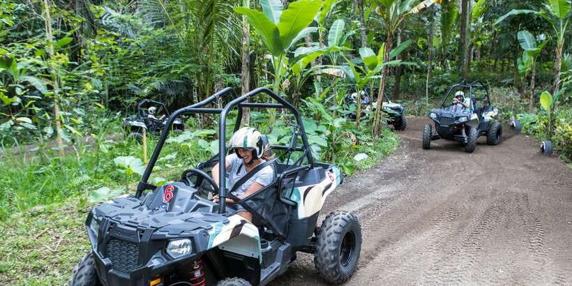 Bali: ATV Mason Jungle Buggy Adventure with Lunch & Transfer - Key points at a glance