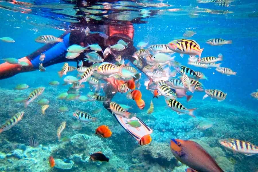 Bali: ATV Ride and Snorkeling Tour with Hotel Transfer - Getting muddy near Ubud in Silakarang