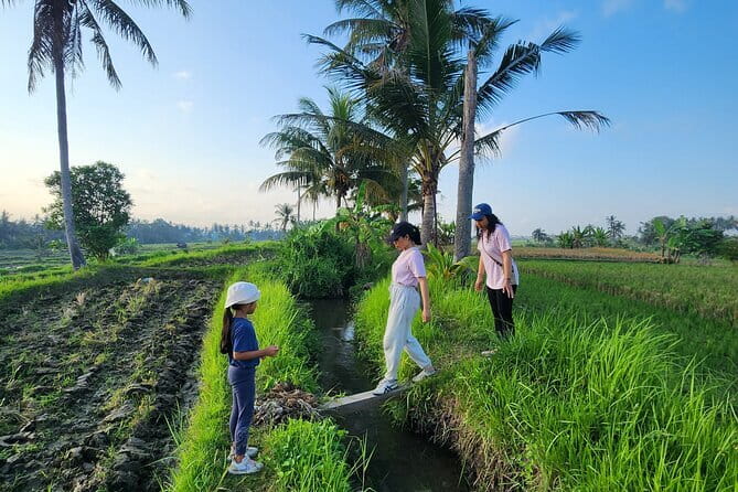 Bali ATV Ride On the Beach, Rice Field and Village Tour 2 Hour - Timing, pickup, and useful preparation