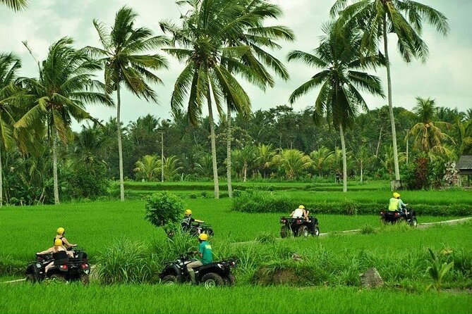 Bali ATV Ride tour Ubud - What the Bali ATV route is really about