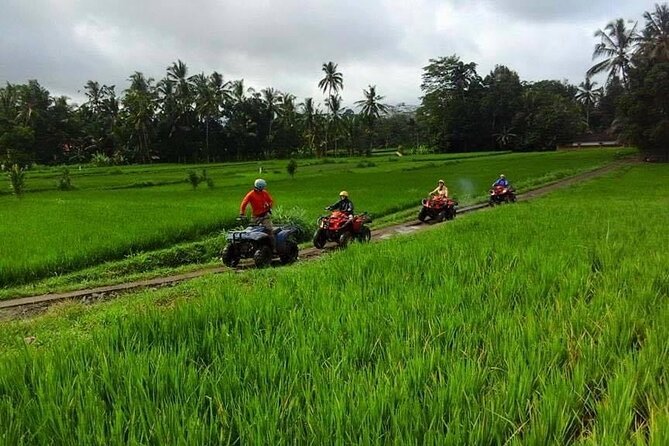 Bali ATV Ride tour Ubud - Who should book this ATV tour