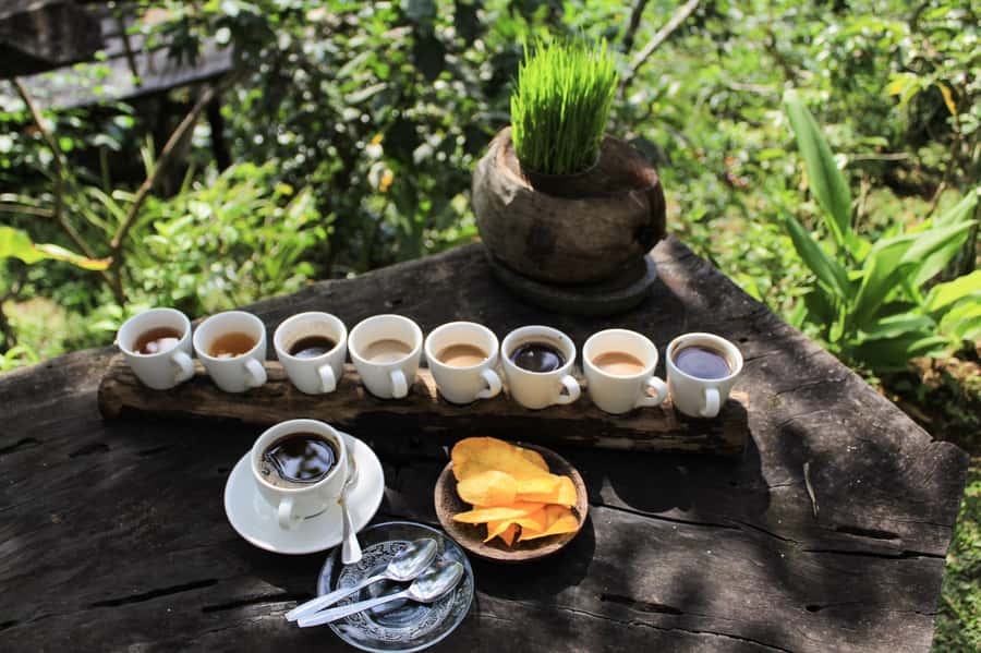 Bali: Authentic Culinary Street Food Experience Tour - Local eateries and the pleasure of being guided
