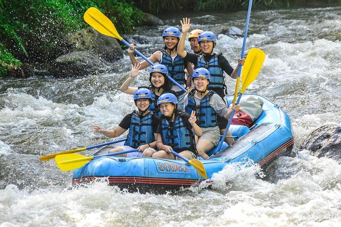Bali: Ayung River White Water Rafting Adventure - Why the Ayung River is a good first rafting trip