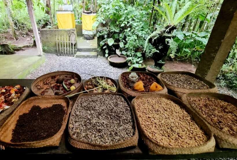 Bali: Bali Insta Journey Private Tour (All-Inclusive) - What to pack for the temple, forest and swing