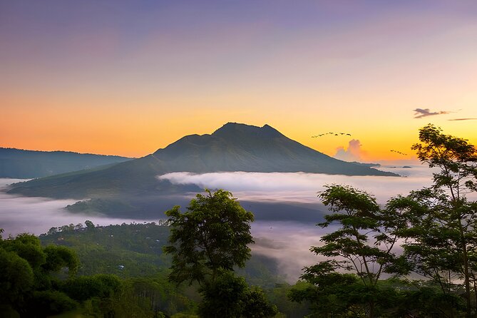 Bali: Barong Dance, Rice Terrace, Volcano, Temple, Waterfall Tour - Walking through the Sacred Monkey Forest Sanctuary