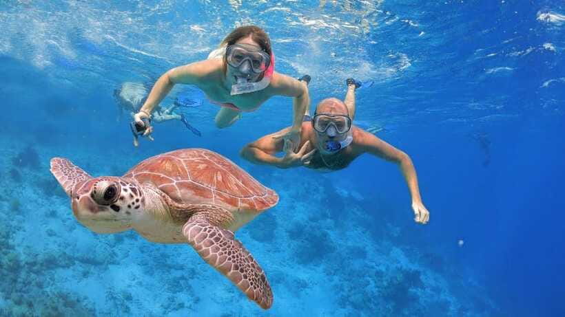 Bali: Basic Snorkeling at Menjangan Island - Who will like this Menjangan outing