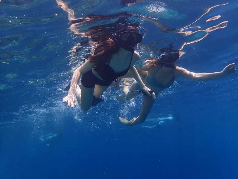 Bali: Basic Snorkeling at Menjangan Island - Should you book it?