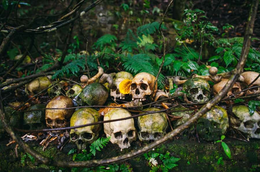 Bali/Batur: Mystical & Burial Rituals Tour with Kehen Temple - The Trunyan cemetery and Taru Menyan tree