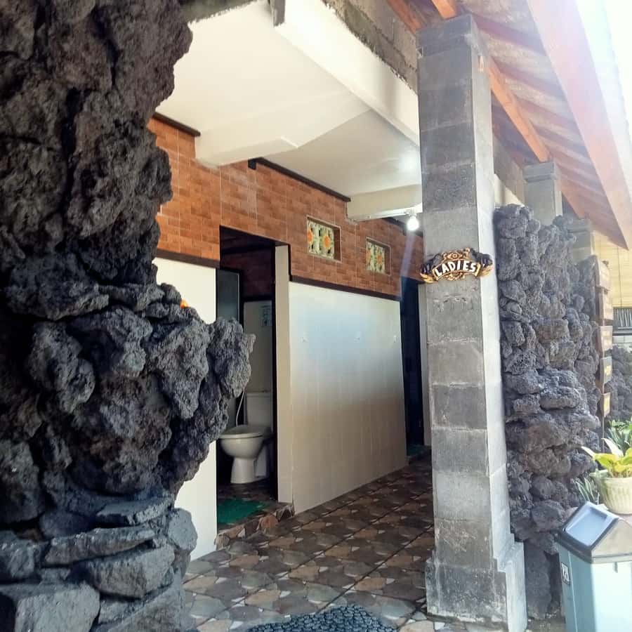 Bali: Batur Natural Hot Spring Entrance Ticket - The views over Mount Batur and Lake Batur