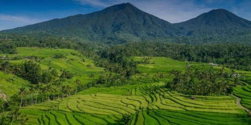 Bali: Bedugul, Jatiluwih, Taman ayun, Tanah lot private tour - Is $38 per person good value?