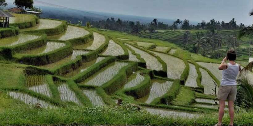 Bali: Bedugul, Jatiluwih, Taman ayun, Tanah lot private tour - Who will enjoy this route most