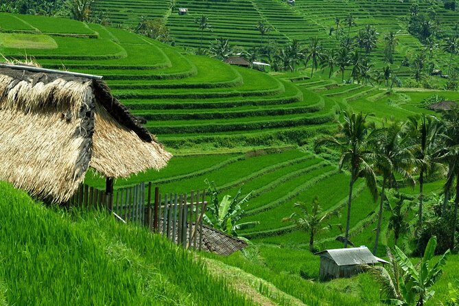 Bali: Bedugul Lake Temple, Banyumala Waterfall, UNESCO Rice Field - Starting from Seminyak, Ubud, or south Bali