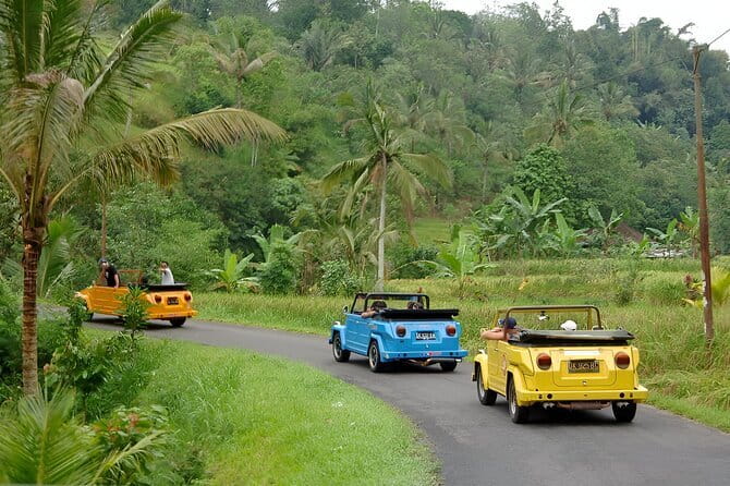 Bali: Bedugul Temple, Banyumala Waterfall, UNESCO Rice Terrace - Why the private format matters