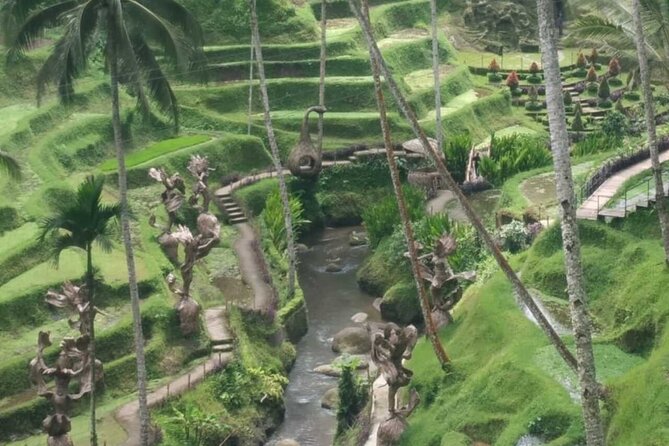 Bali Benoa Shore Excursion for cruise's passenger - All Inclusive - Uma Pakel: Coffee, Tropical Crops, and a Valley View