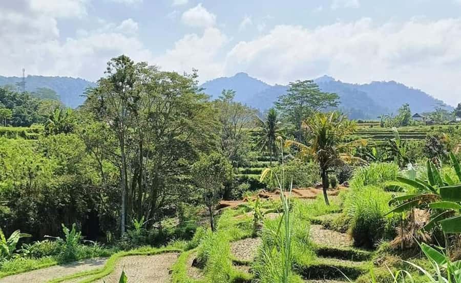 Bali: Besakih Temple and Sidemen Tour - Key points to know before booking