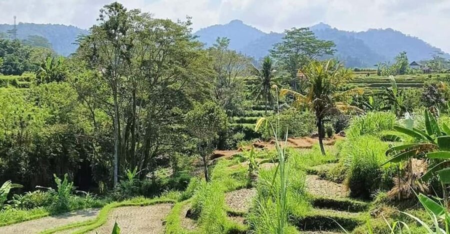 Bali: Besakih Temple and Sidemen Tour - Practical ways to get more from the day