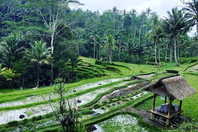 Bali: Best Eastern Waterfalls with Private Bali Tours - Practical booking advice for a smoother day