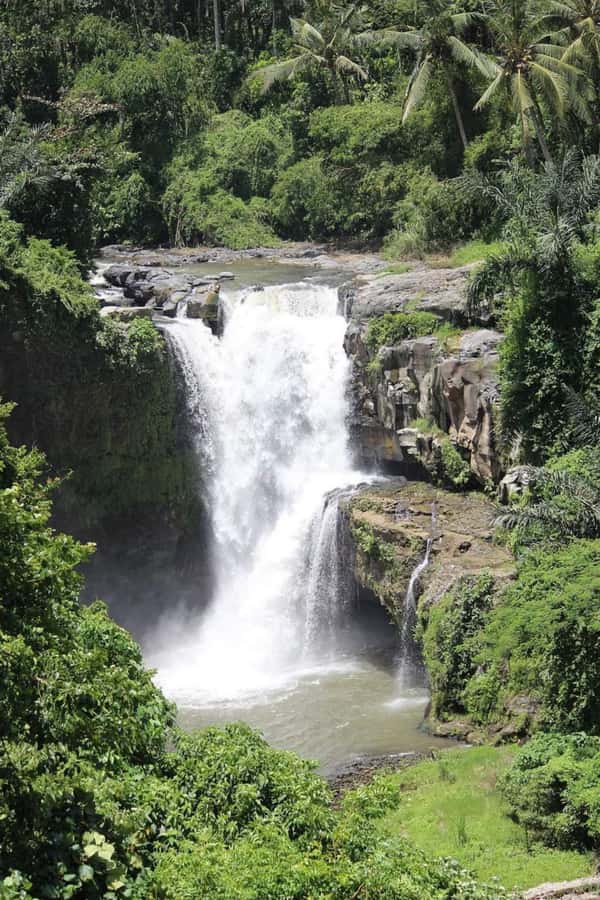 Bali: Best of Ubud Waterfalls Tour - Three Ubud waterfalls in one well-planned day