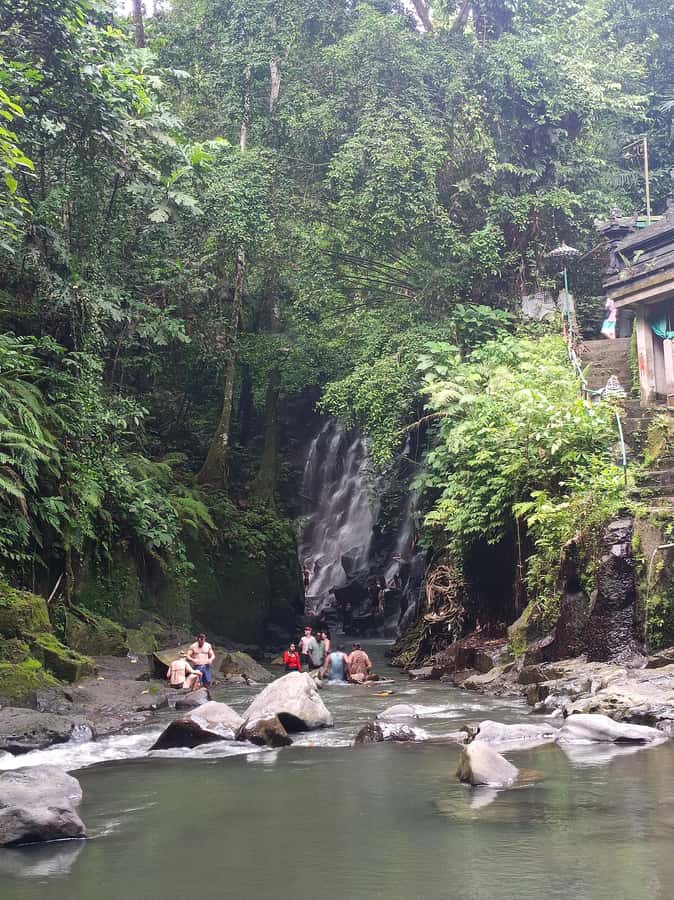 Bali: Best of Ubud Waterfalls Tour - What the private car and driver add