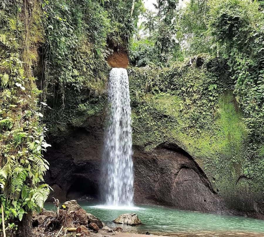 Bali: Best of Ubud Waterfalls Tour - The $34 price and what it really covers