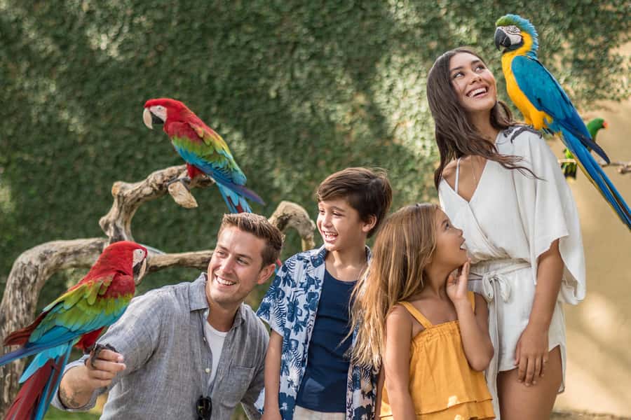 Bali Bird Park: 1-Day Admission Ticket - Key things to know before you go