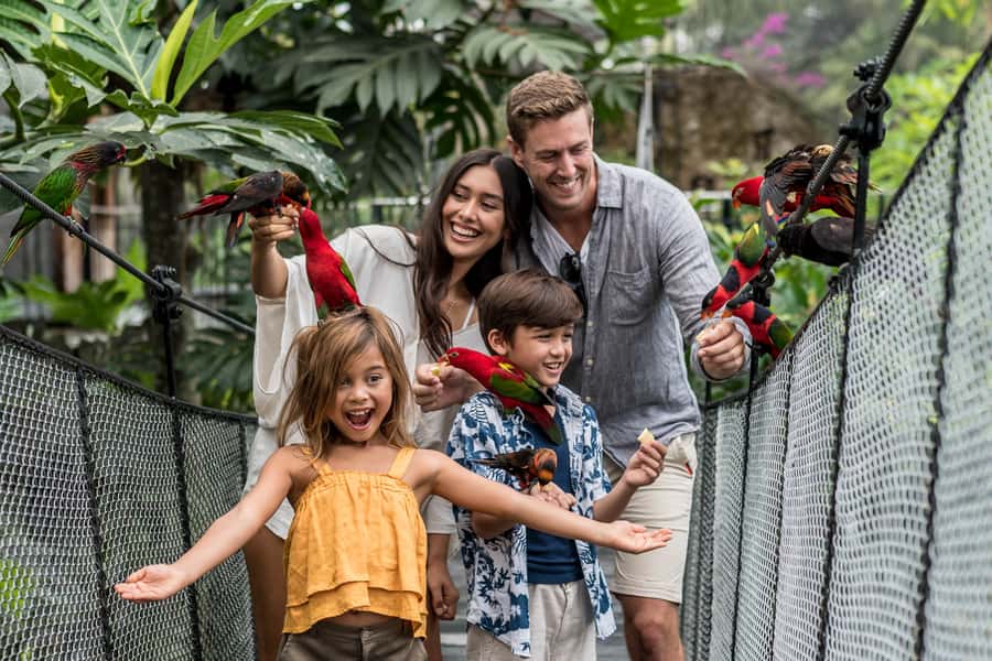 Bali Bird Park: 1-Day Admission Ticket - A full day among birds from four continents