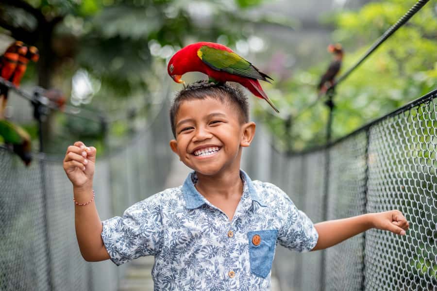 Bali Bird Park: 1-Day Admission Ticket - Sumatra, Papua, and the Indonesian bird habitats