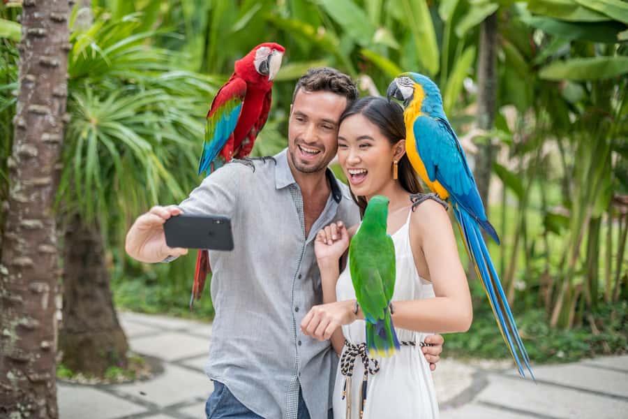 Bali Bird Park: 1-Day Admission Ticket - The Bali Rainforest Free Flight Show