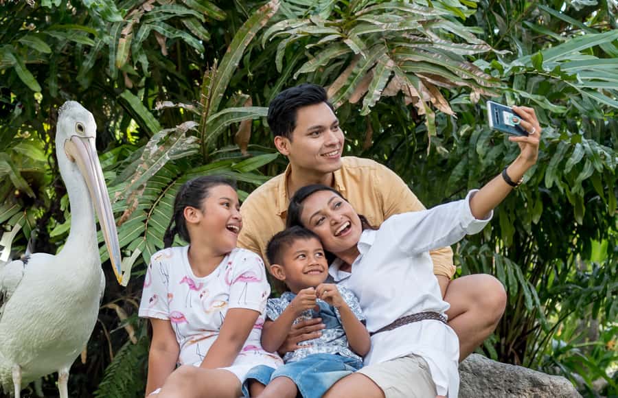 Bali Bird Park: 1-Day Admission Ticket - How much time should you allow?