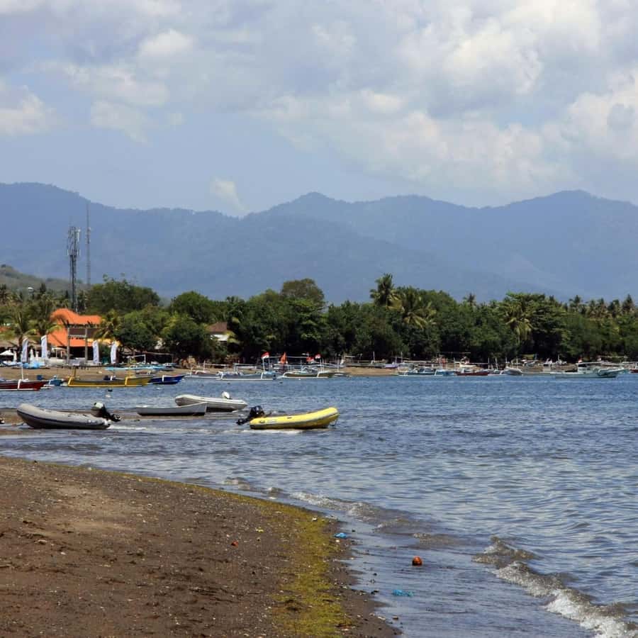 Bali Bliss: Dolphin Lovina Private Expedition - FAQ