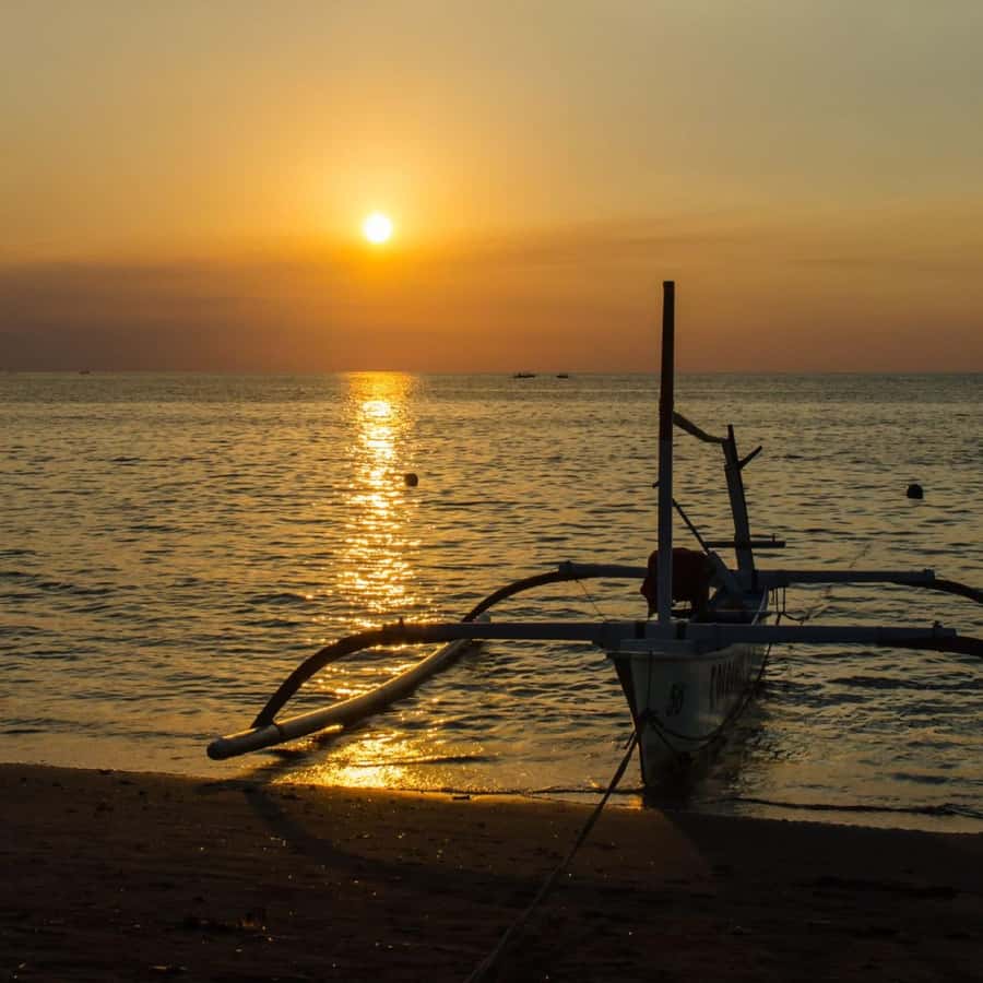 Bali Bliss: Dolphin Lovina Private Expedition - What the $18 price includes, and what it does not