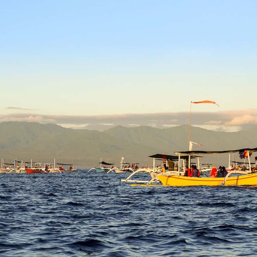 Bali Bliss: Dolphin Lovina Private Expedition - Should you book it?