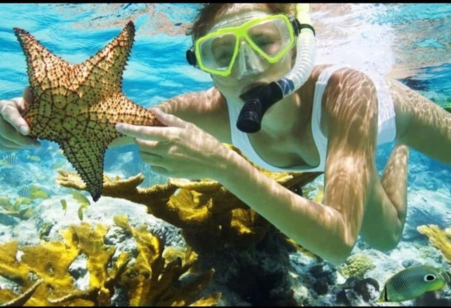 Bali: Blue Lagoon and Tanjung Jepun Snorkeling Trip - Blue Lagoon: a gentle introduction to the reef